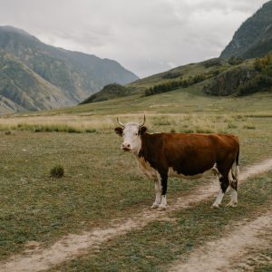 Brand Storytelling Photography
