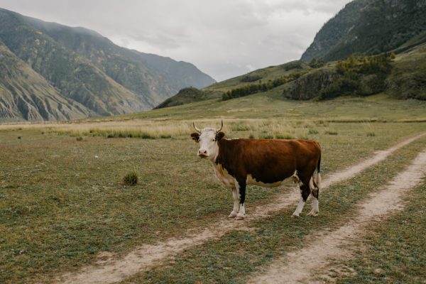 Brand Storytelling Photography